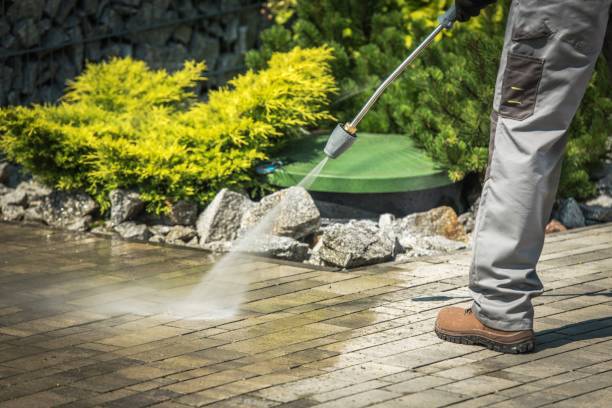 Best Fence Cleaning  in Kenyon, MN