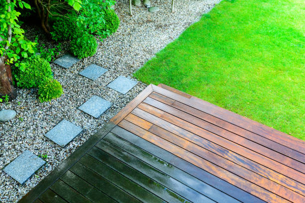Best Roof Washing  in Kenyon, MN