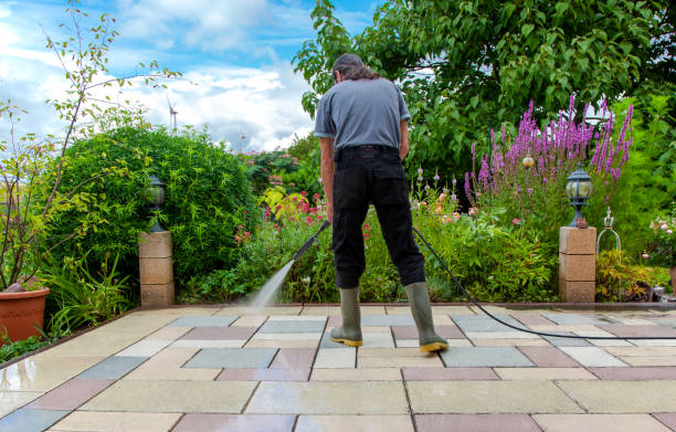 Best Pool Deck Cleaning  in Kenyon, MN